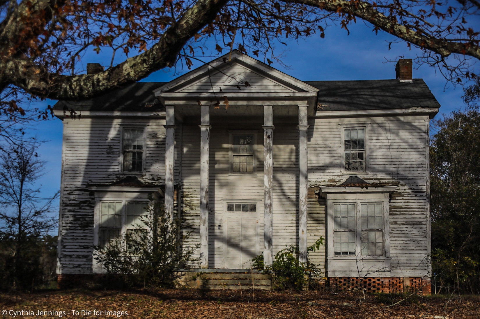 Smith HouseGlenn Springs, South Carolina To Die for Images